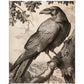 Regal Observer - Raven in Woodland Vista - Gallery Wrapped Canvas