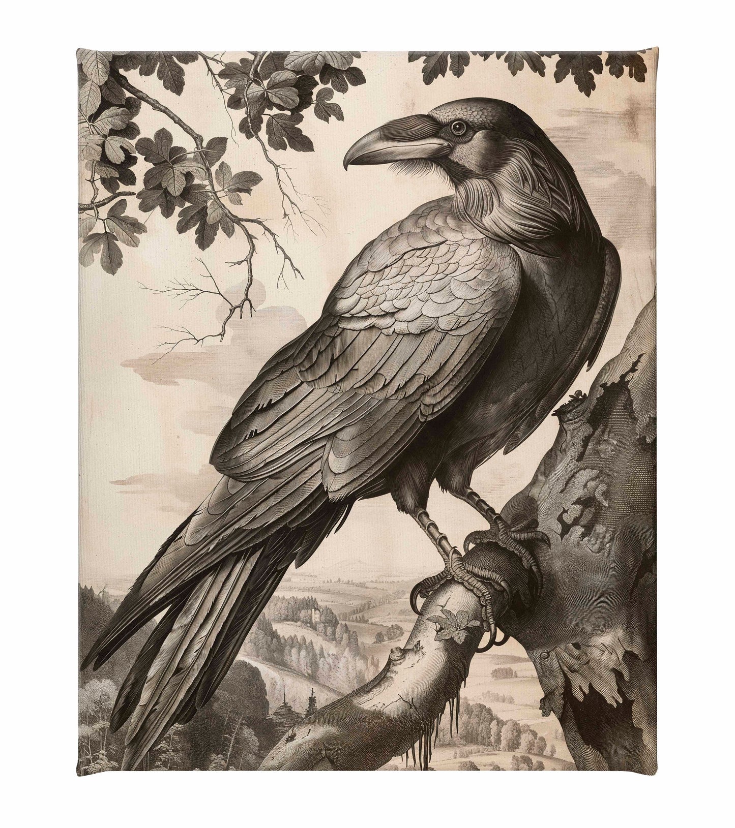 Regal Observer - Raven in Woodland Vista - Gallery Wrapped Canvas