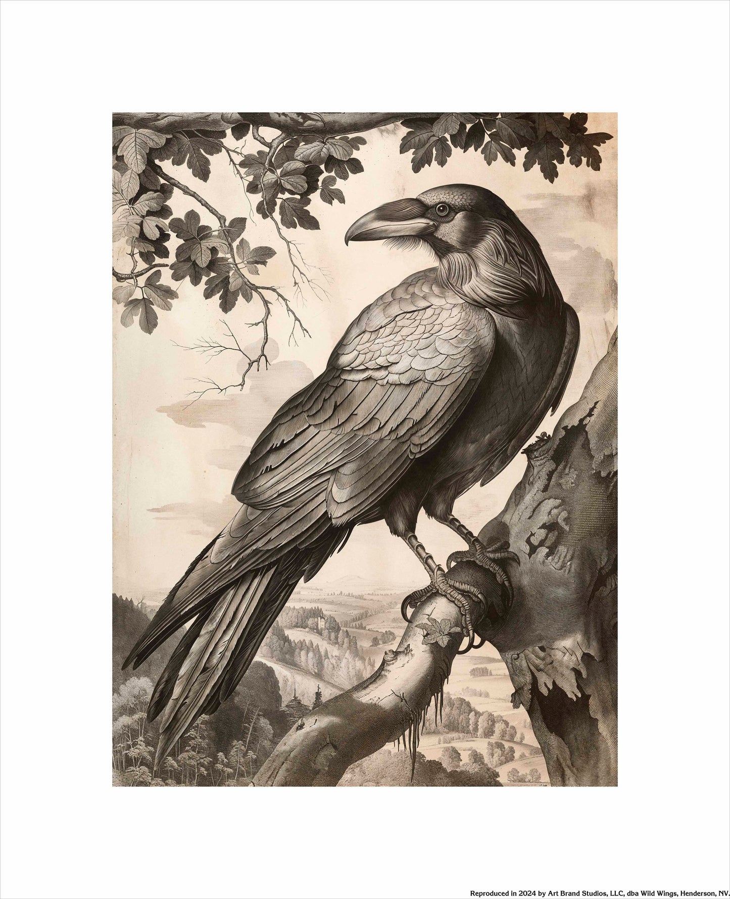 Regal Observer - Raven in Woodland Vista - Art Prints