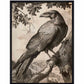Regal Observer - Raven in Woodland Vista - Gallery Wrapped Canvas
