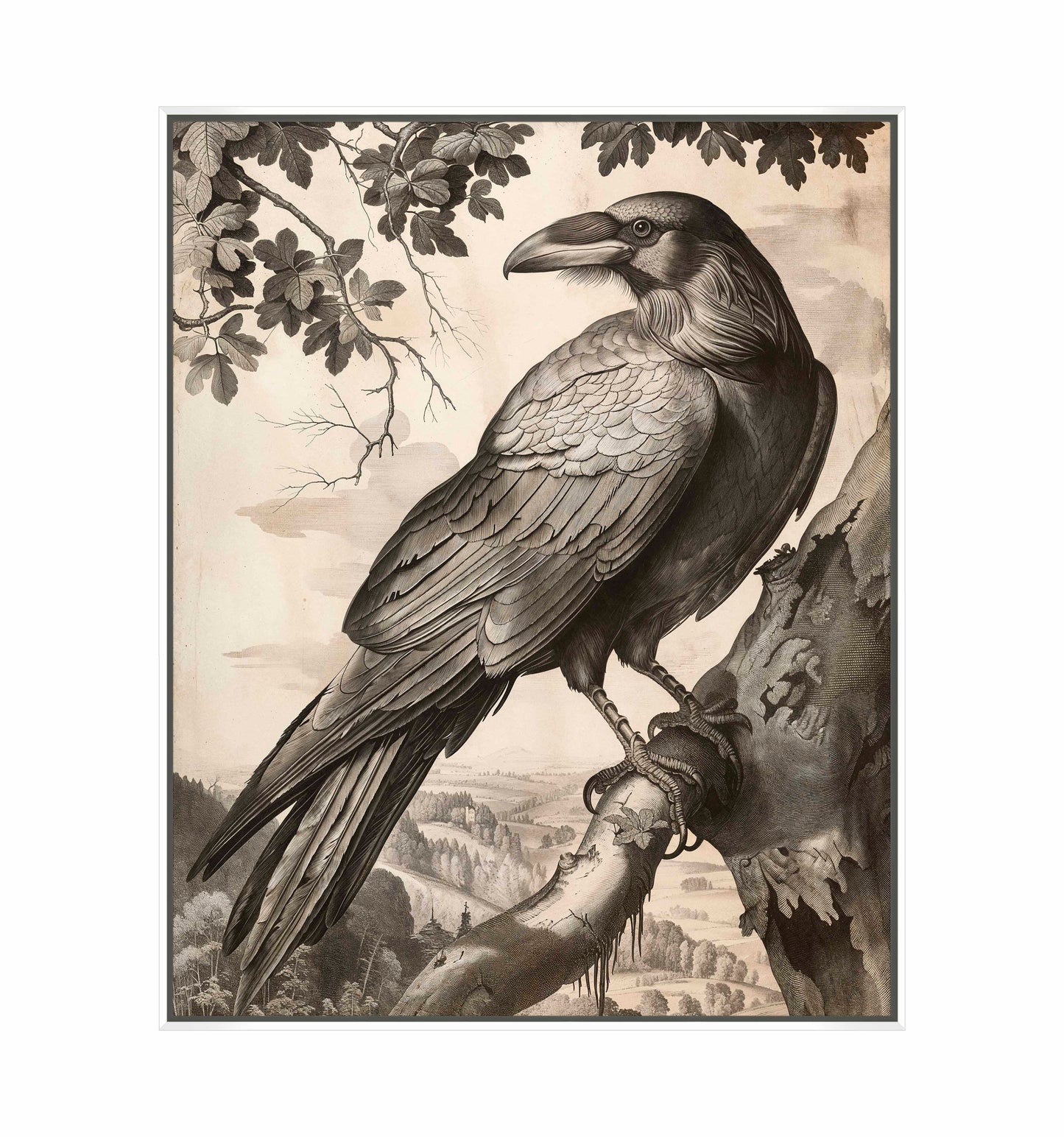 Regal Observer - Raven in Woodland Vista - Gallery Wrapped Canvas