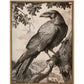 Regal Observer - Raven in Woodland Vista - Gallery Wrapped Canvas
