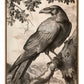 Regal Observer - Raven in Woodland Vista - Gallery Wrapped Canvas