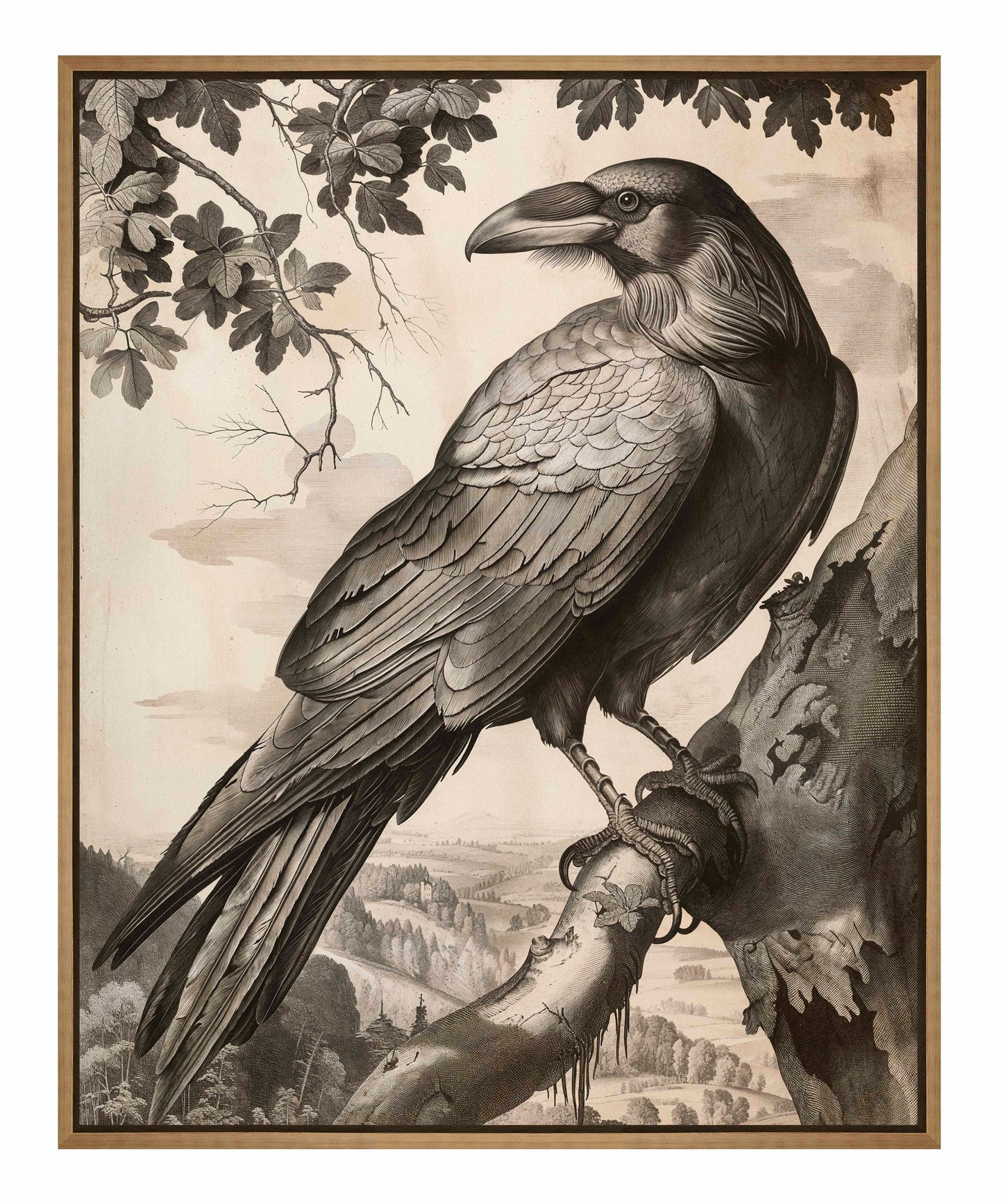 Regal Observer - Raven in Woodland Vista - Gallery Wrapped Canvas