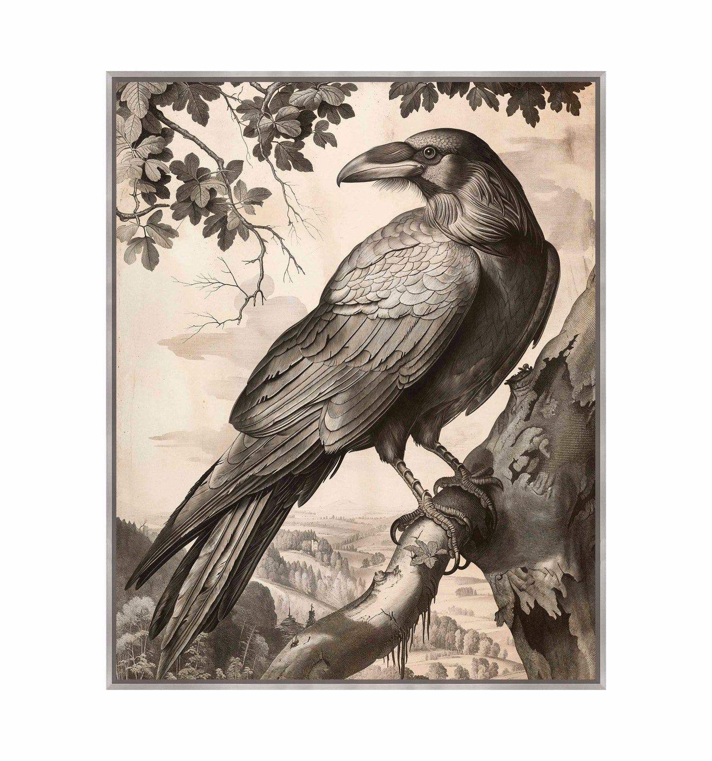 Regal Observer - Raven in Woodland Vista - Gallery Wrapped Canvas