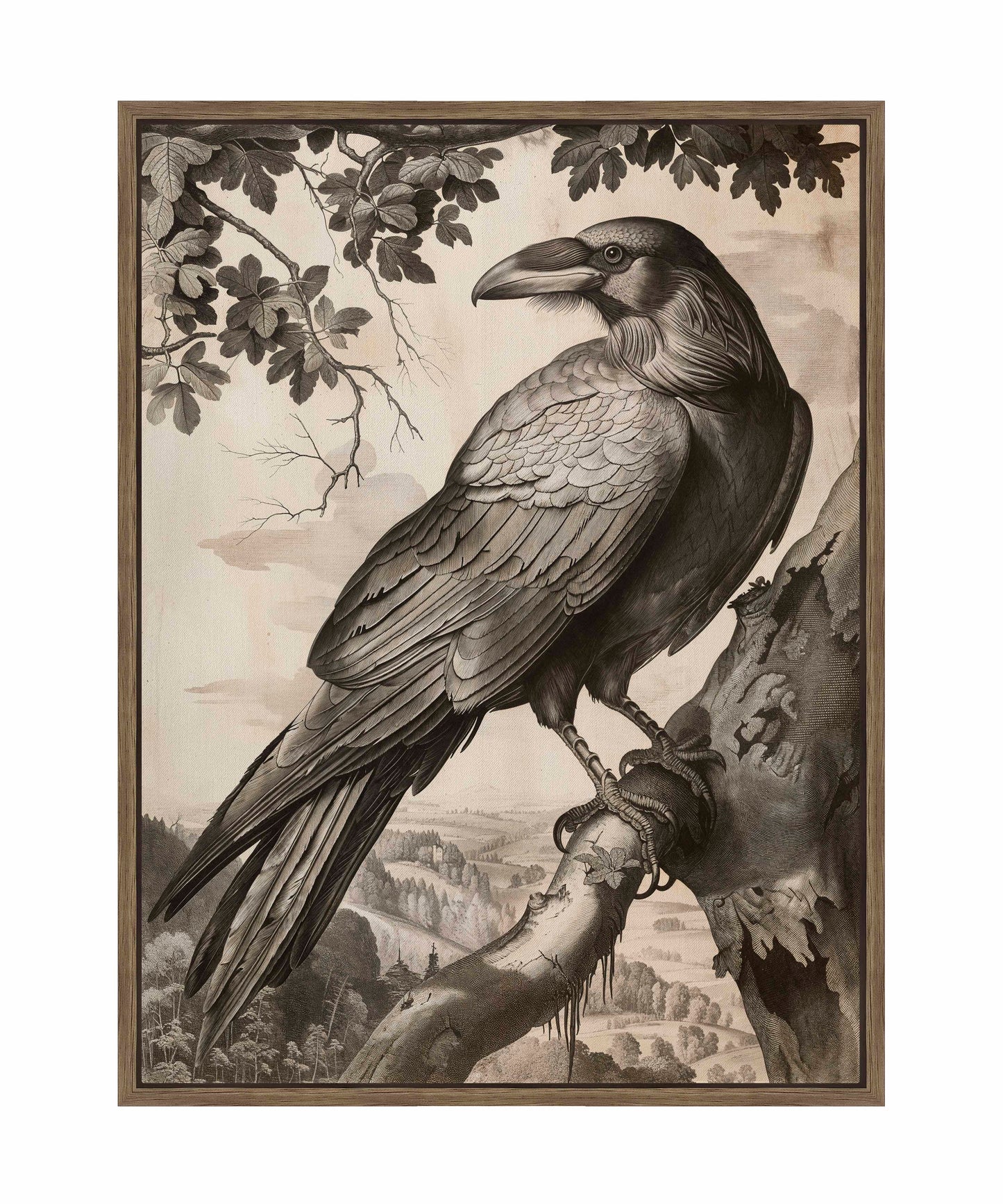 Regal Observer - Raven in Woodland Vista - Gallery Wrapped Canvas