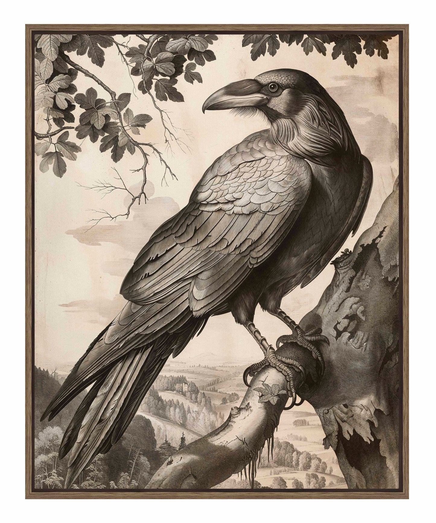 Regal Observer - Raven in Woodland Vista - Gallery Wrapped Canvas