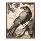 Regal Observer - Raven in Woodland Vista - Gallery Wrapped Canvas