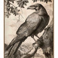 Regal Observer - Raven in Woodland Vista - Gallery Wrapped Canvas