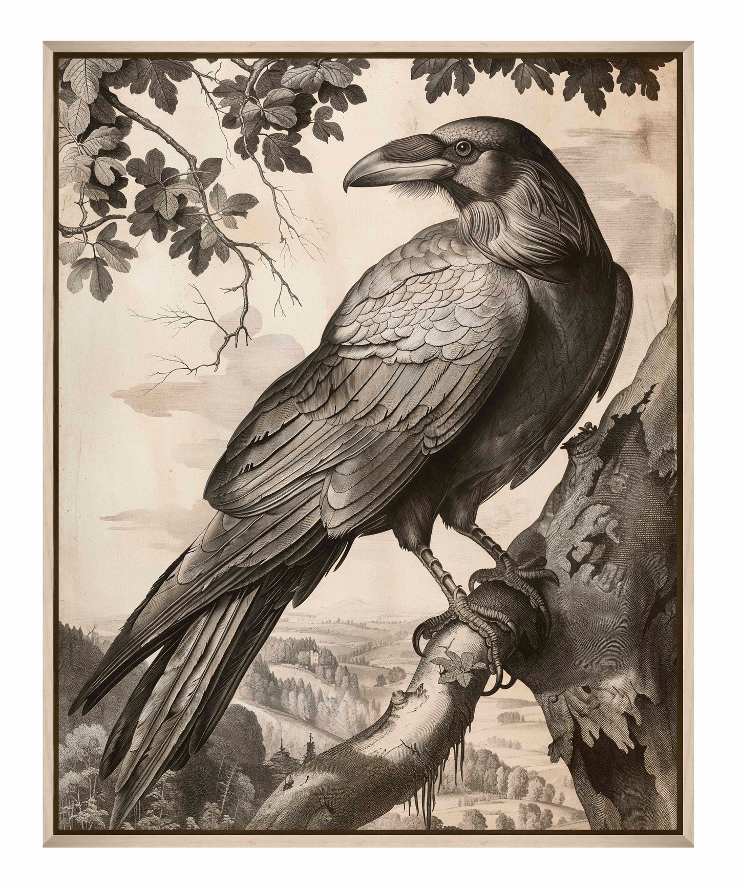 Regal Observer - Raven in Woodland Vista - Gallery Wrapped Canvas