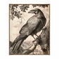 Regal Observer - Raven in Woodland Vista - Gallery Wrapped Canvas