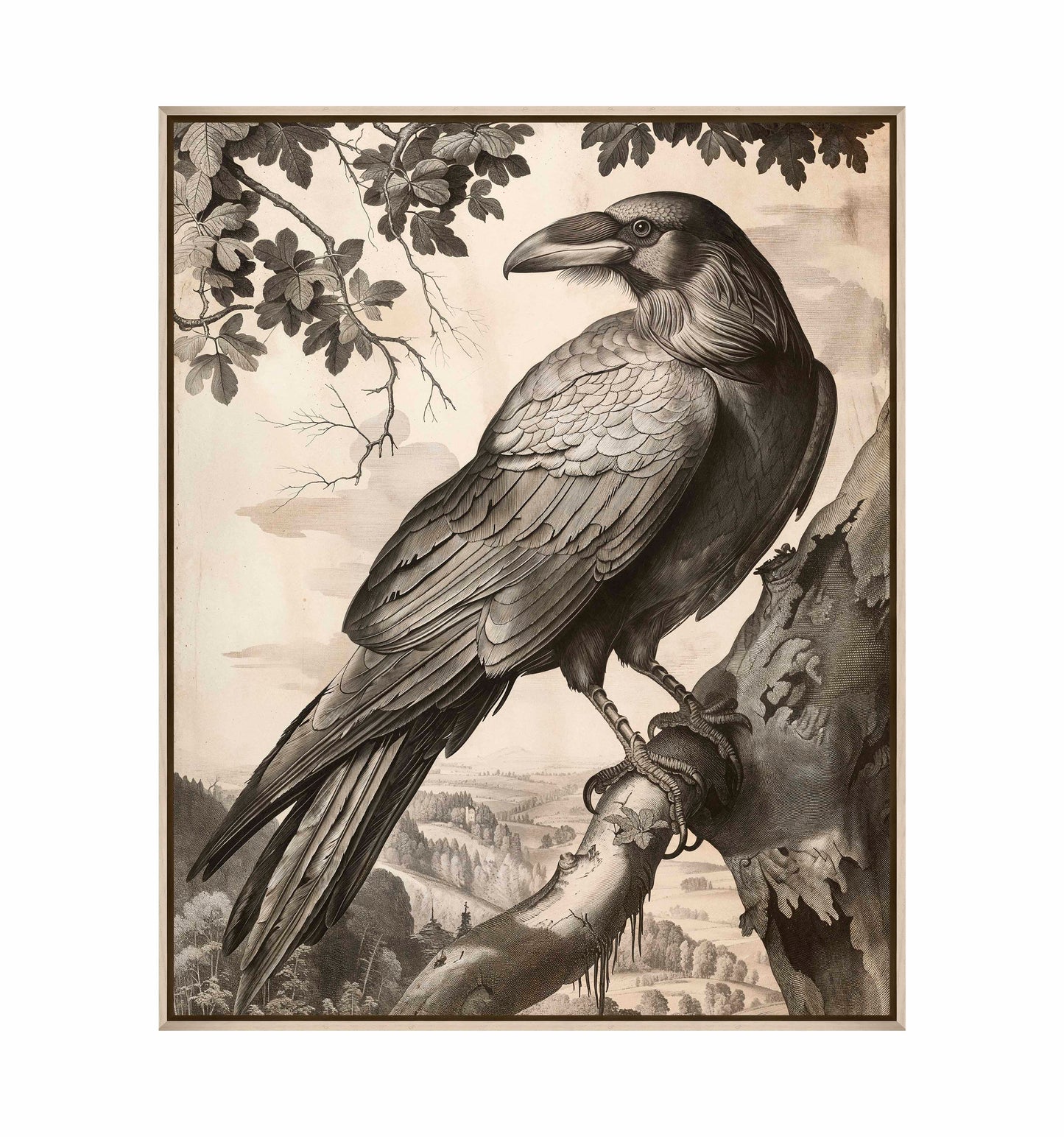 Regal Observer - Raven in Woodland Vista - Gallery Wrapped Canvas
