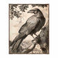 Regal Observer - Raven in Woodland Vista - Gallery Wrapped Canvas