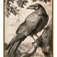 Regal Observer - Raven in Woodland Vista - Gallery Wrapped Canvas