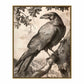 Regal Observer - Raven in Woodland Vista - Gallery Wrapped Canvas