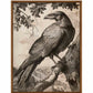 Regal Observer - Raven in Woodland Vista - Gallery Wrapped Canvas