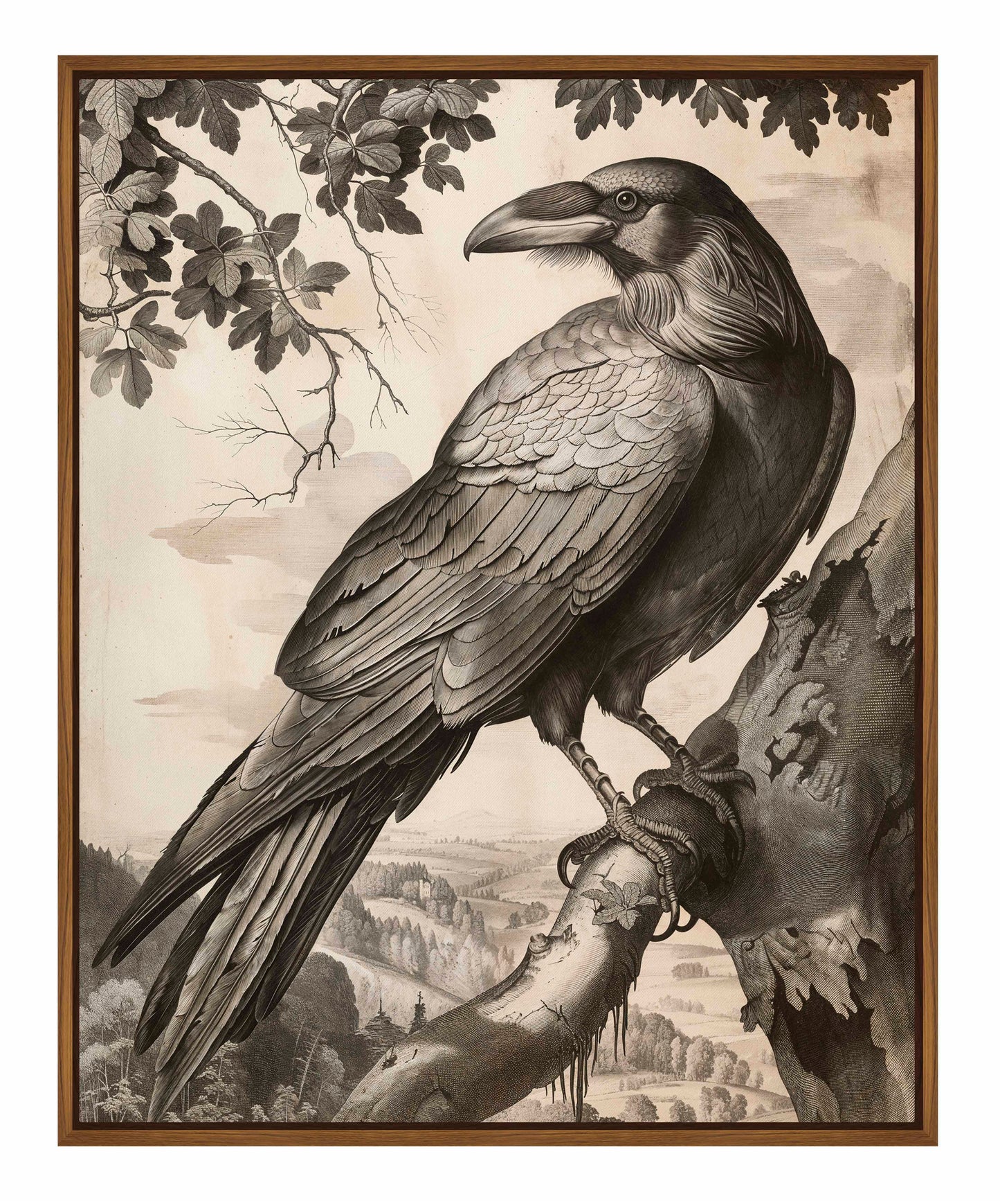 Regal Observer - Raven in Woodland Vista - Gallery Wrapped Canvas