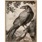 Regal Observer - Raven in Woodland Vista - Gallery Wrapped Canvas