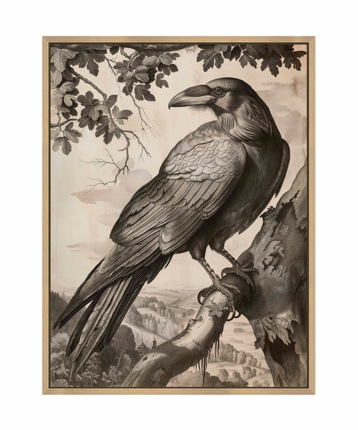 Regal Observer - Raven in Woodland Vista - Gallery Wrapped Canvas
