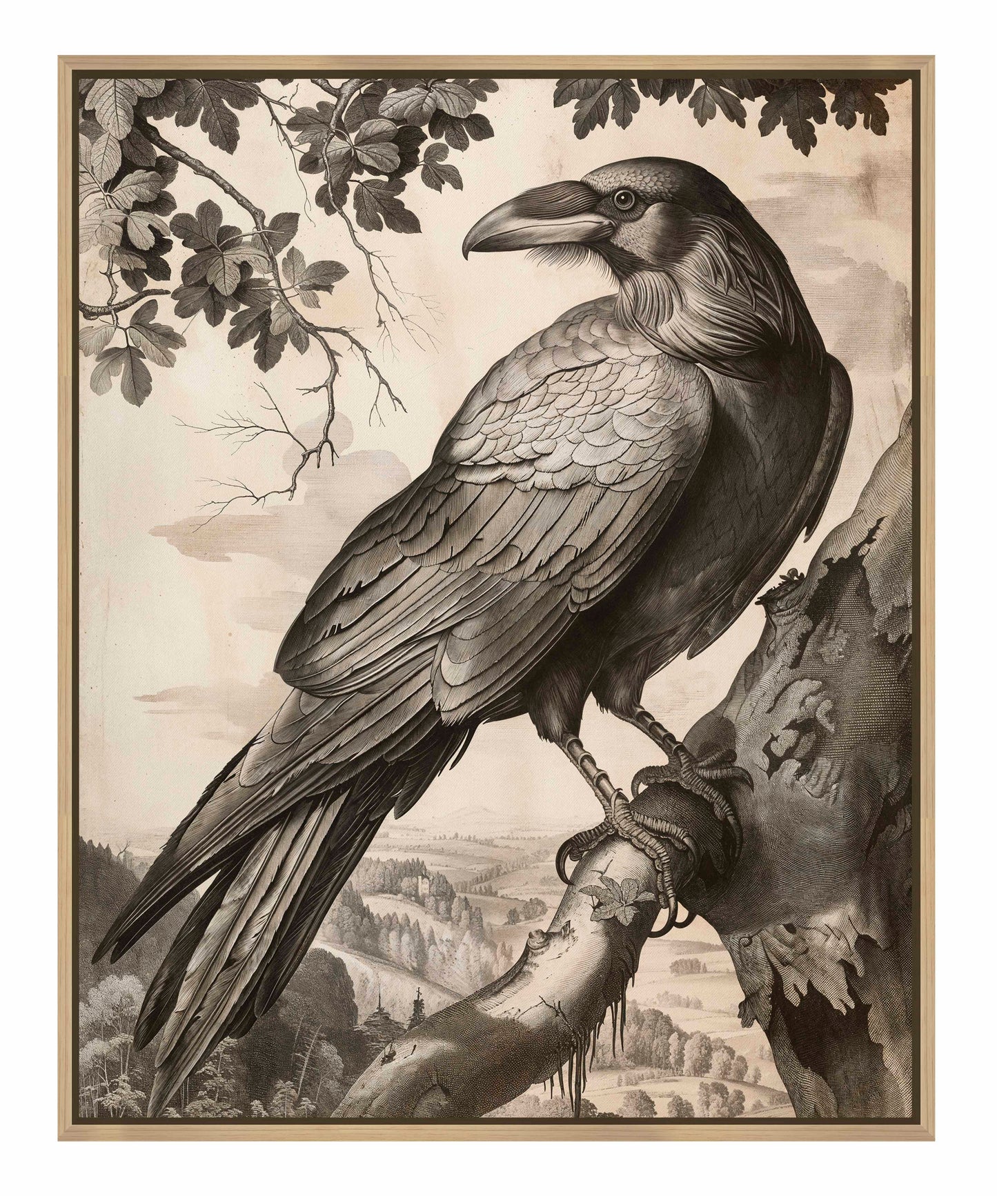 Regal Observer - Raven in Woodland Vista - Gallery Wrapped Canvas