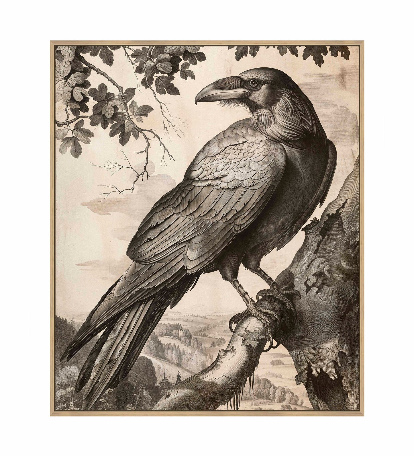 Regal Observer - Raven in Woodland Vista - Gallery Wrapped Canvas