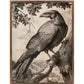 Regal Observer - Raven in Woodland Vista - Gallery Wrapped Canvas