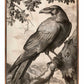 Regal Observer - Raven in Woodland Vista - Gallery Wrapped Canvas