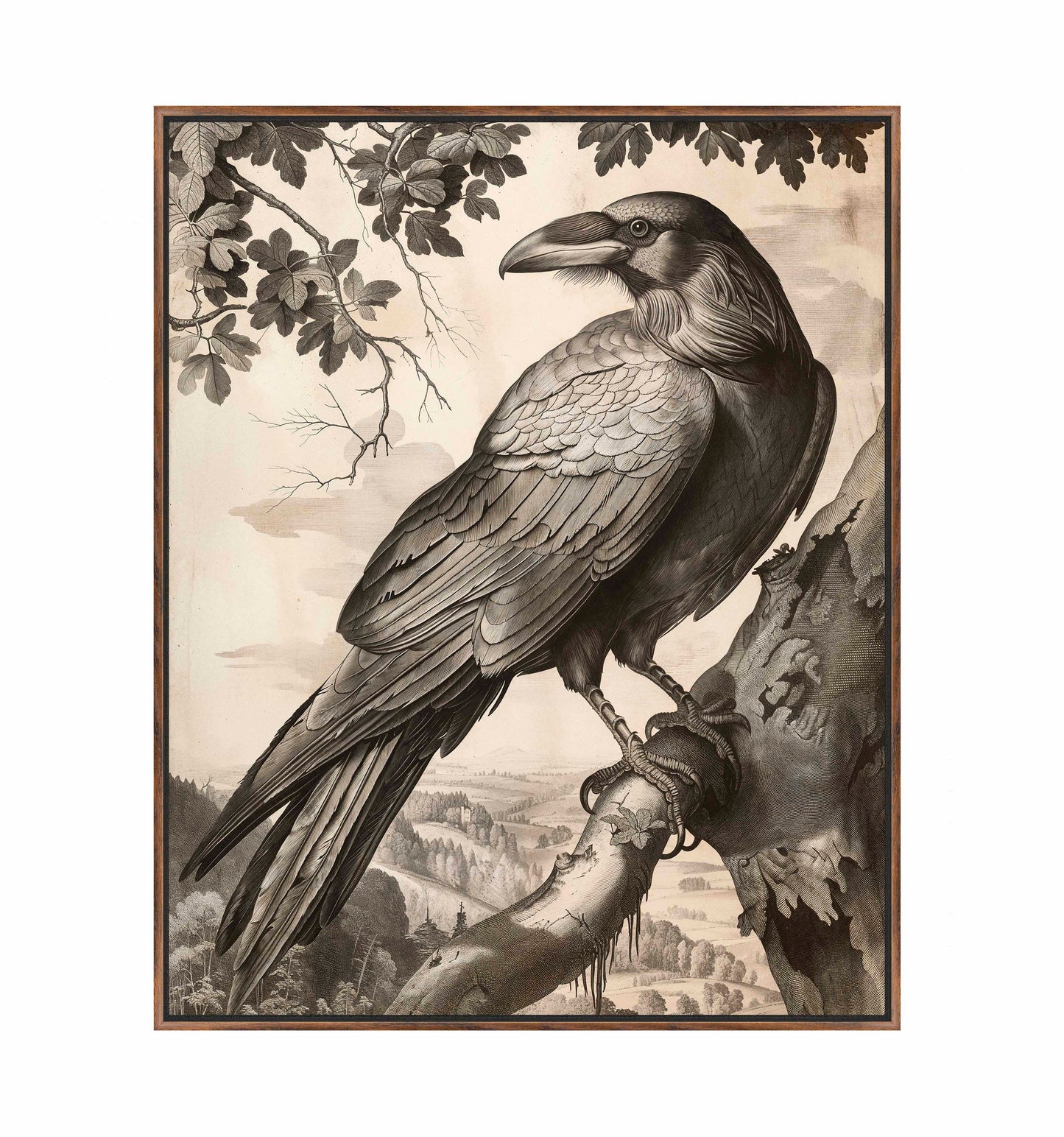 Regal Observer - Raven in Woodland Vista - Gallery Wrapped Canvas