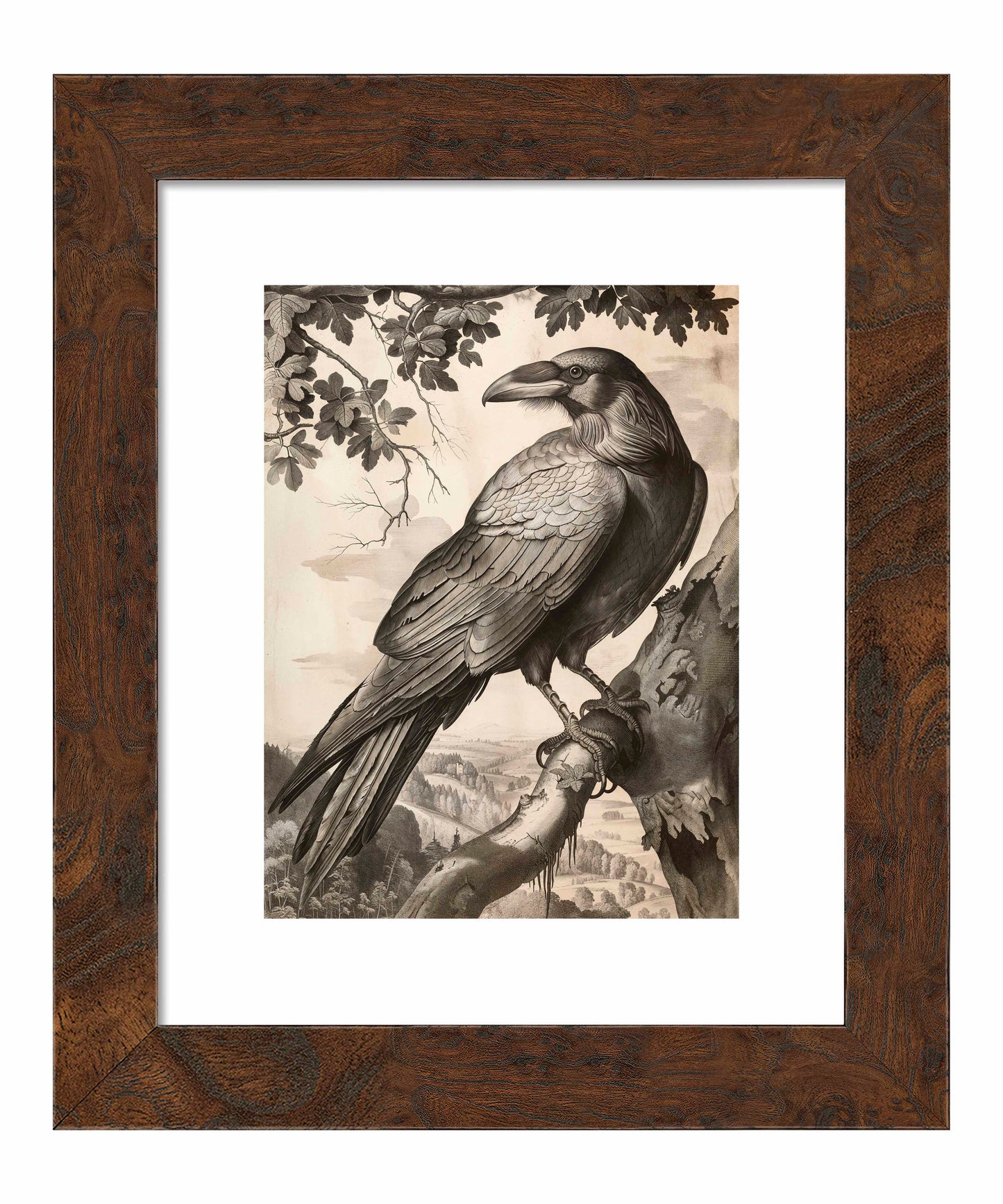 Regal Observer - Raven in Woodland Vista - Art Prints