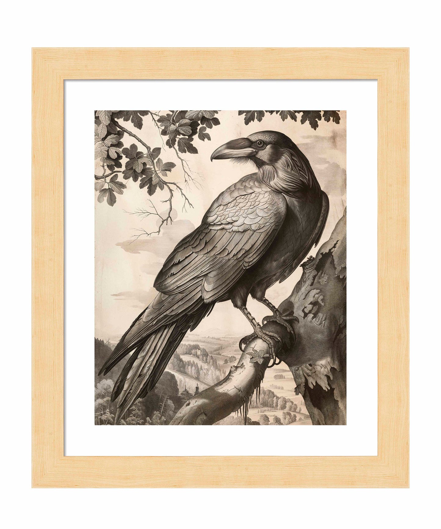 Regal Observer - Raven in Woodland Vista - Art Prints