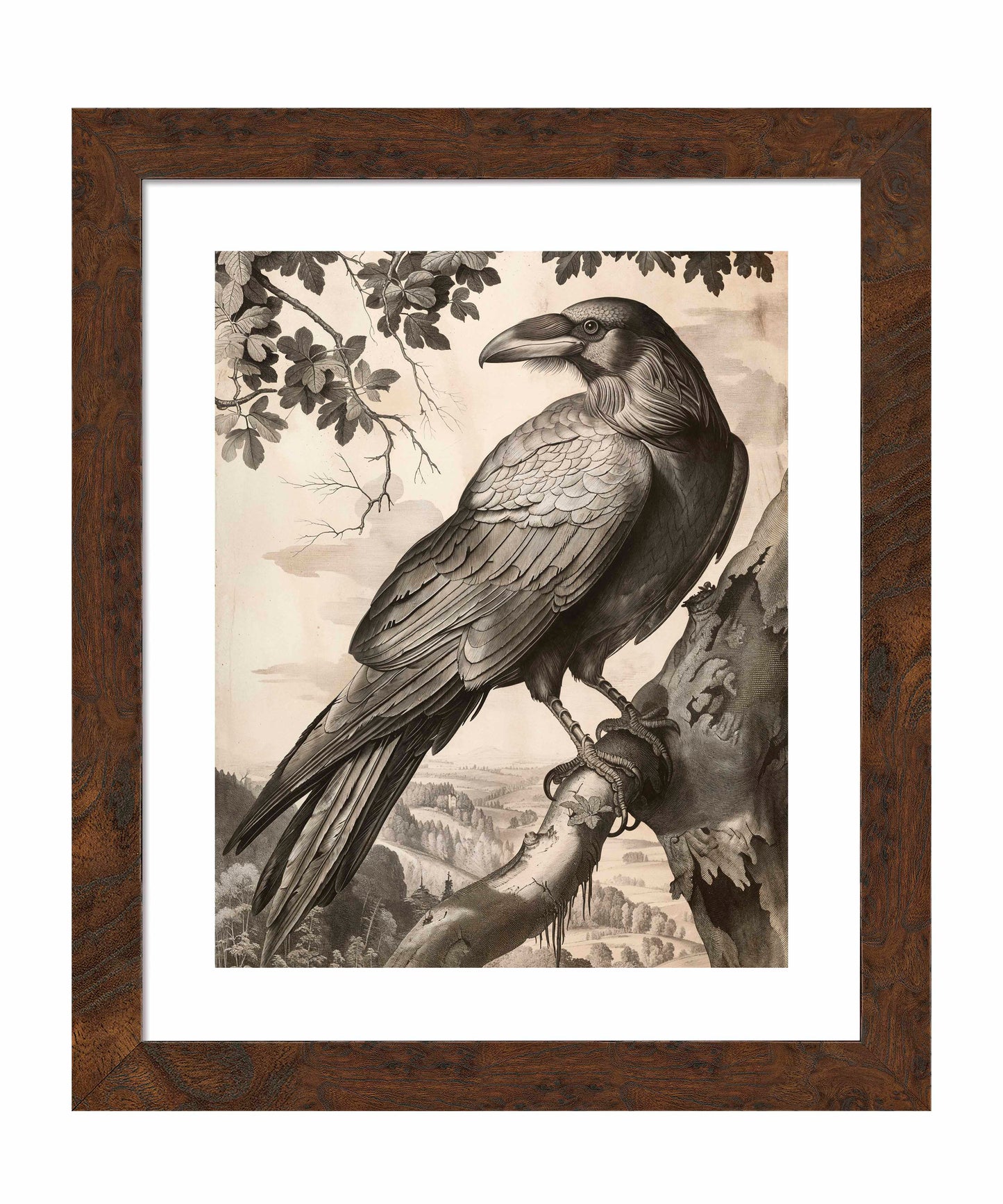 Regal Observer - Raven in Woodland Vista - Art Prints