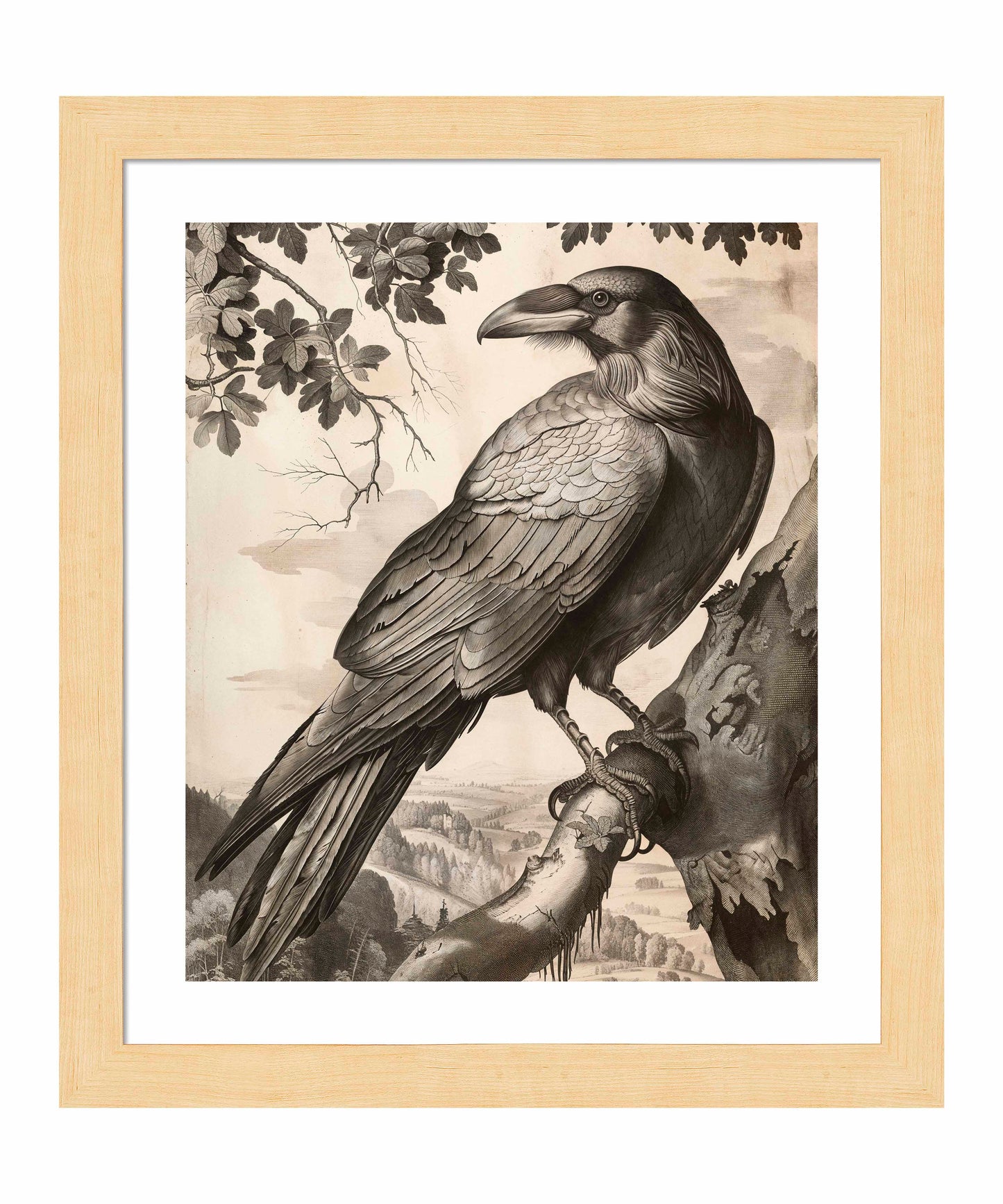 Regal Observer - Raven in Woodland Vista - Art Prints