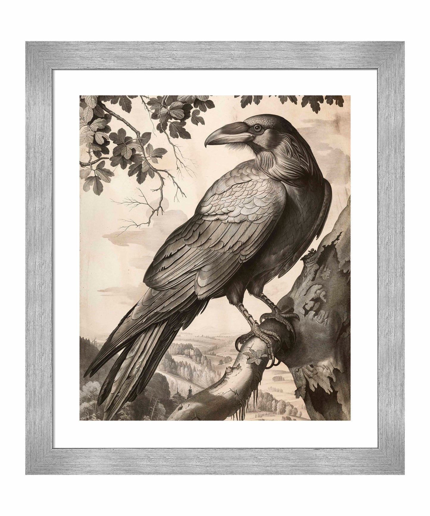 Regal Observer - Raven in Woodland Vista - Art Prints
