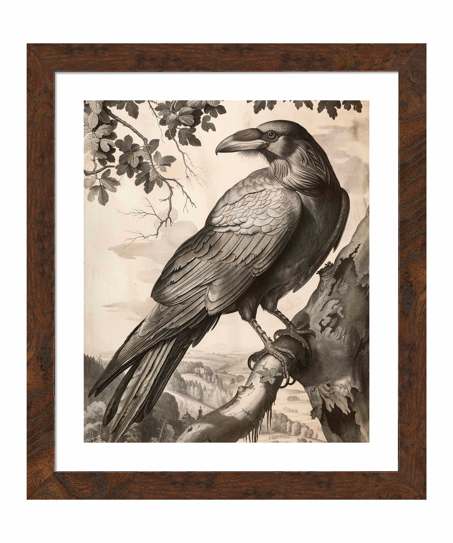 Regal Observer - Raven in Woodland Vista - Art Prints