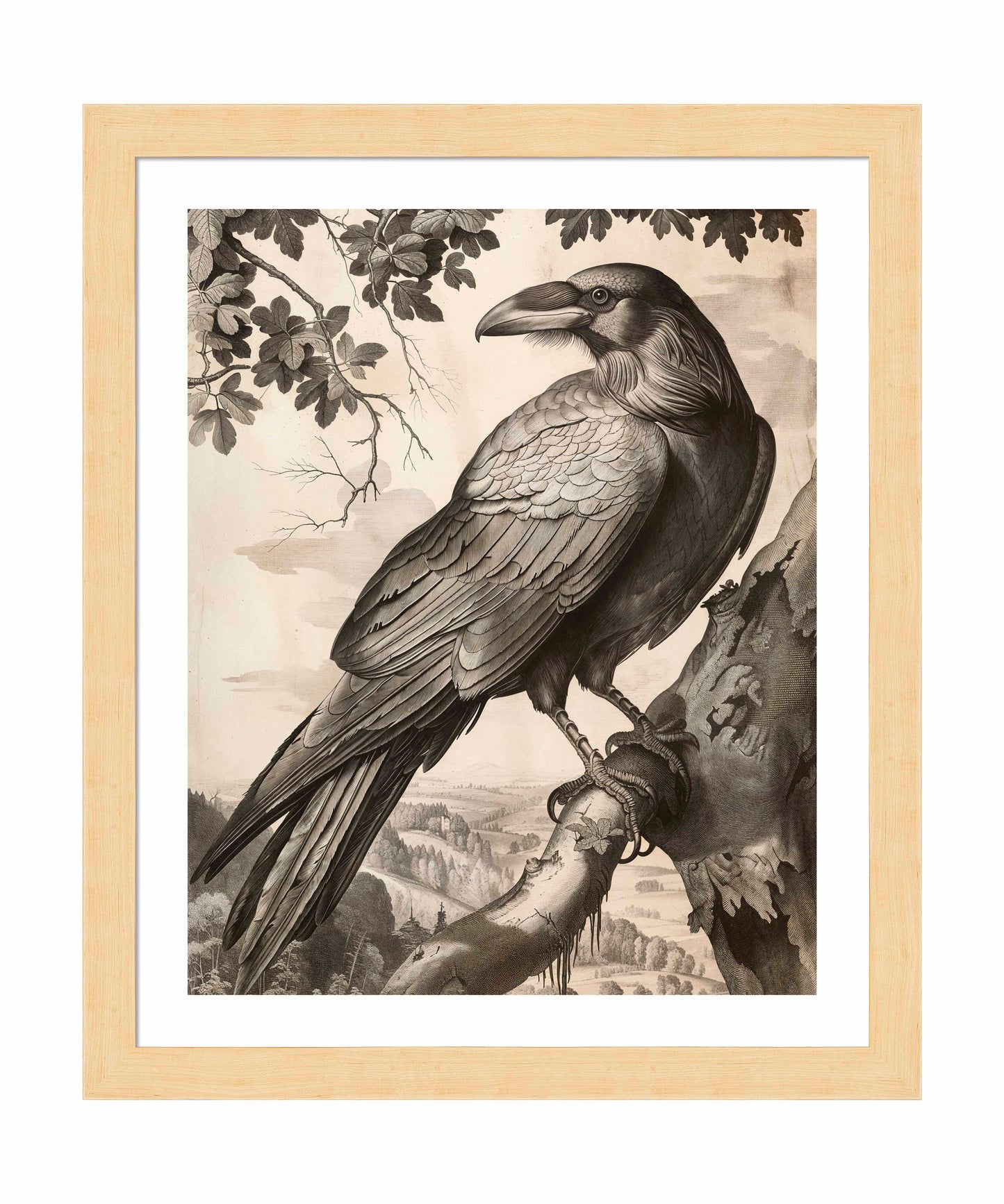 Regal Observer - Raven in Woodland Vista - Art Prints