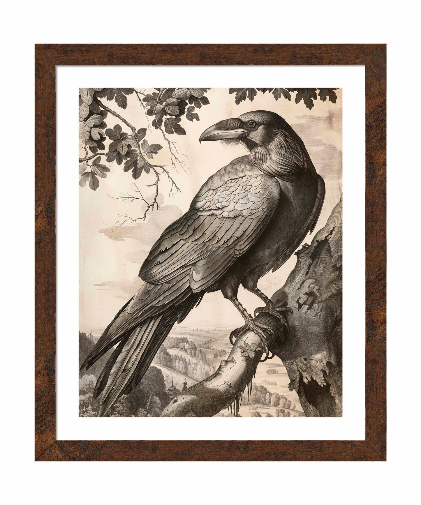 Regal Observer - Raven in Woodland Vista - Art Prints
