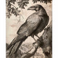 Regal Observer - Raven in Woodland Vista - Gallery Wrapped Canvas