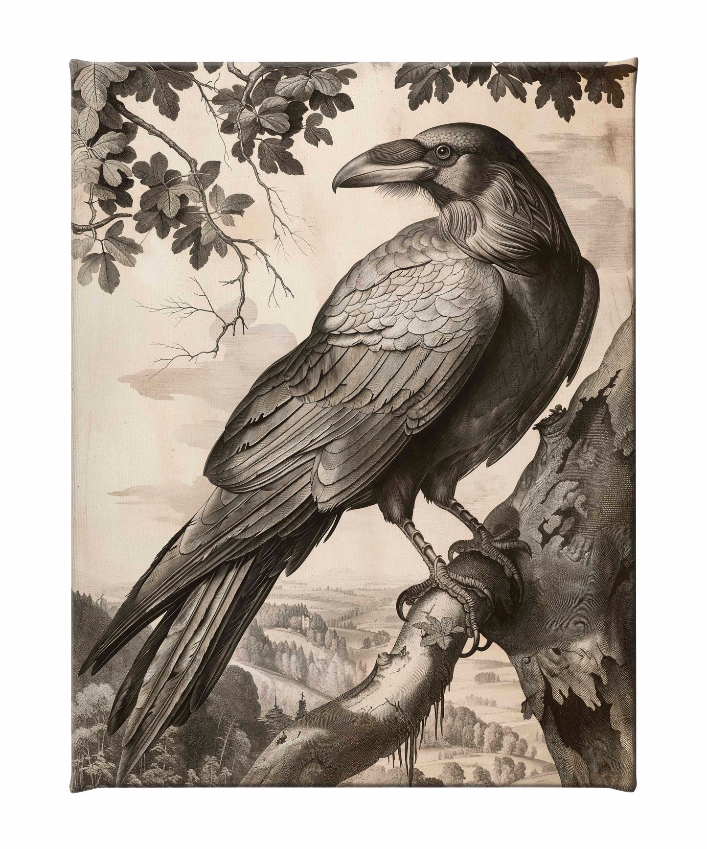Regal Observer - Raven in Woodland Vista - Gallery Wrapped Canvas