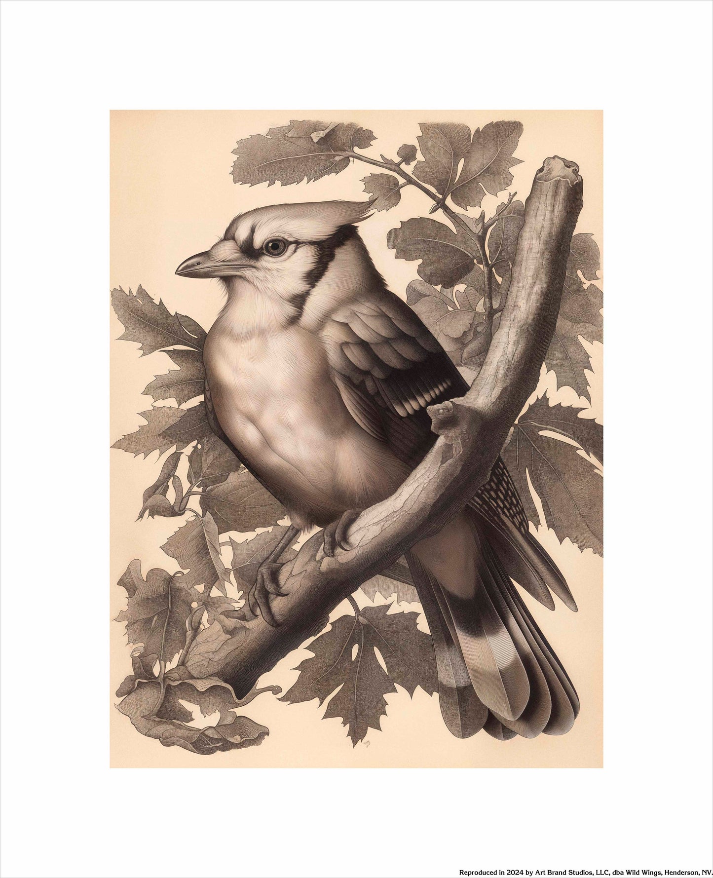 Timeless Grace - Blue Jay in Oak Canopy - Art Prints