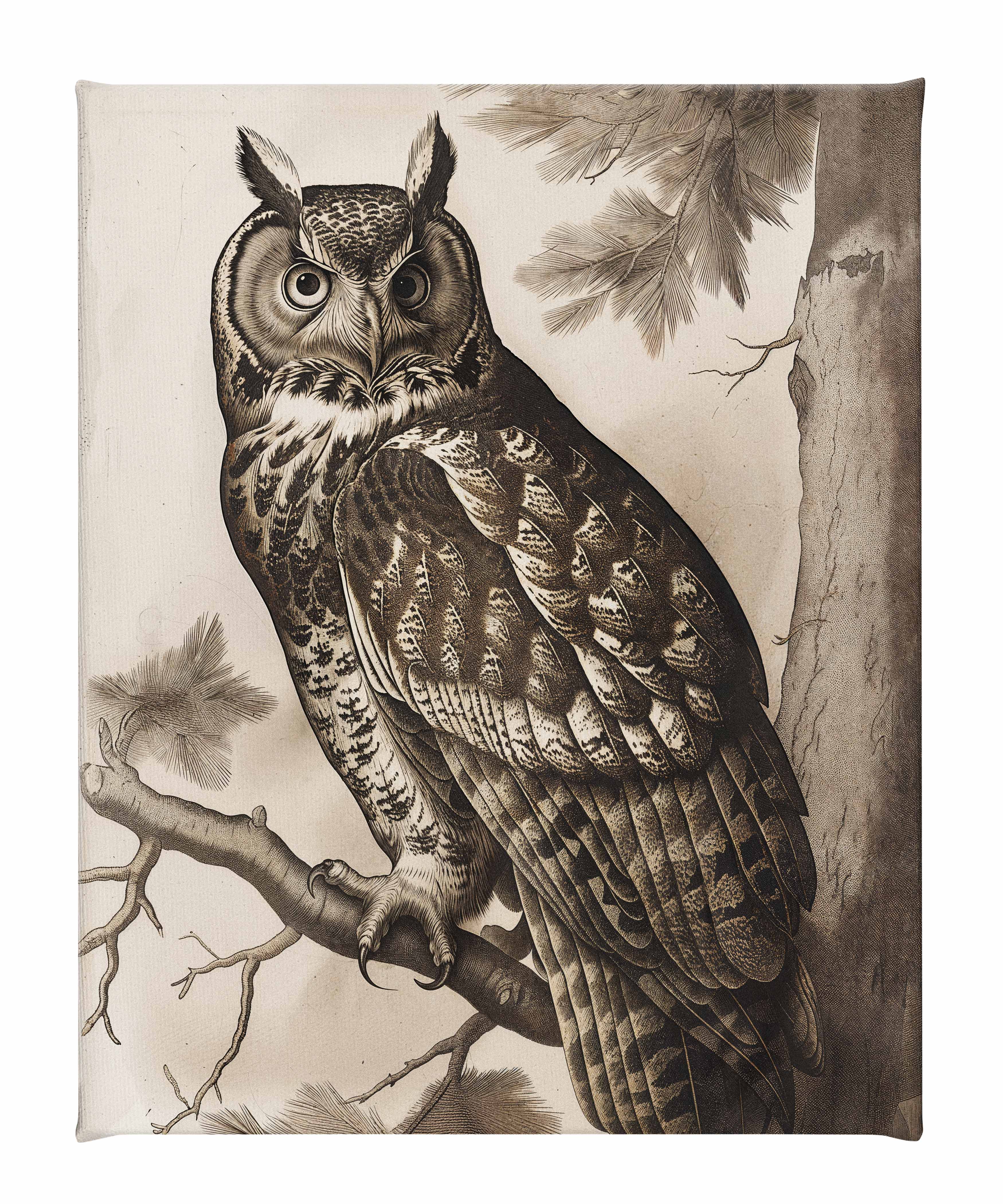 owl様用 174691_CGW_Silent_Guardian_-