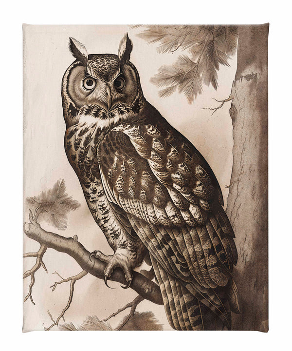 Silent Guardian - Great Horned Owl - Gallery Wrapped Canvas