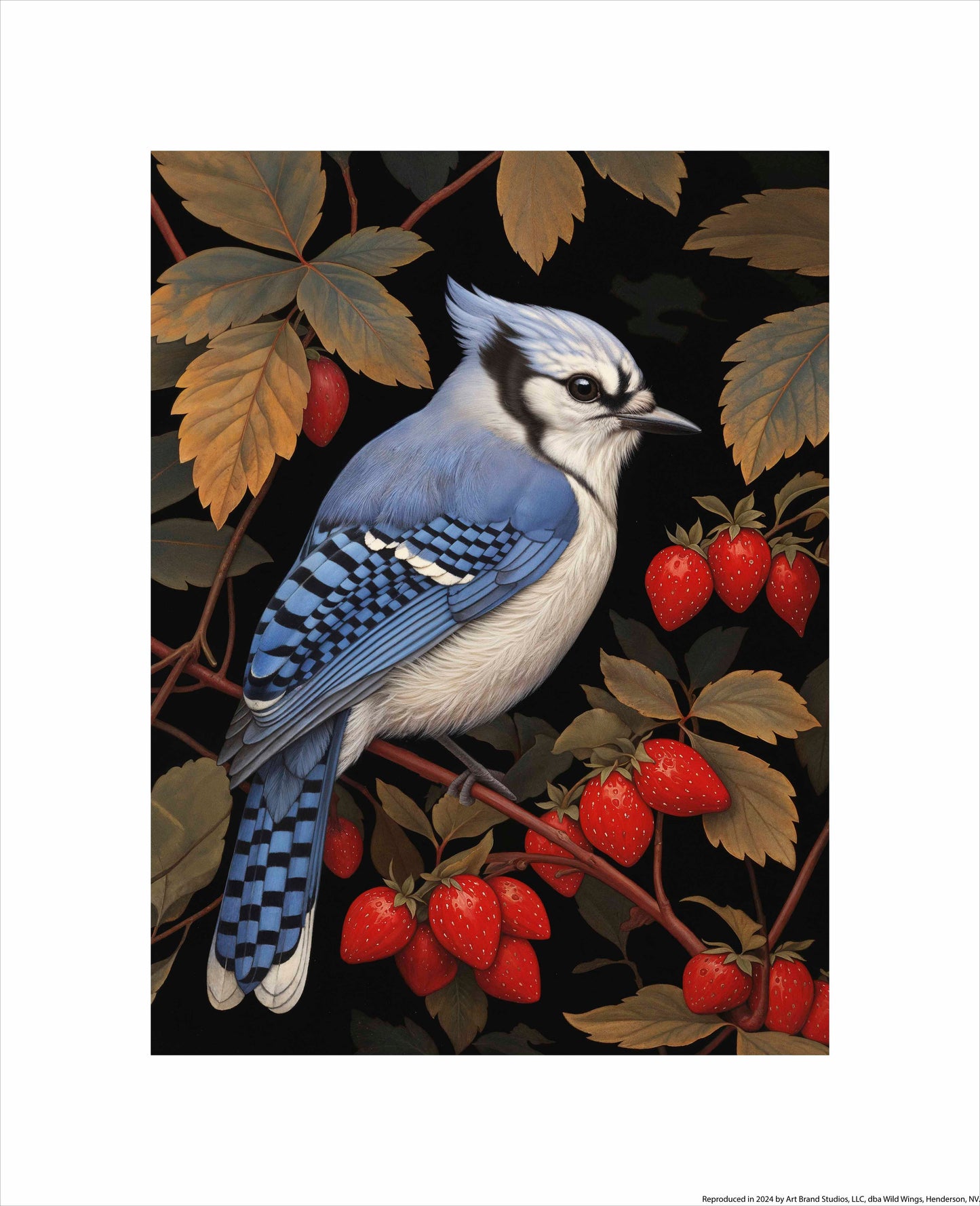 Berry Bliss - Blue Jay in Strawberry Patch - Art Prints