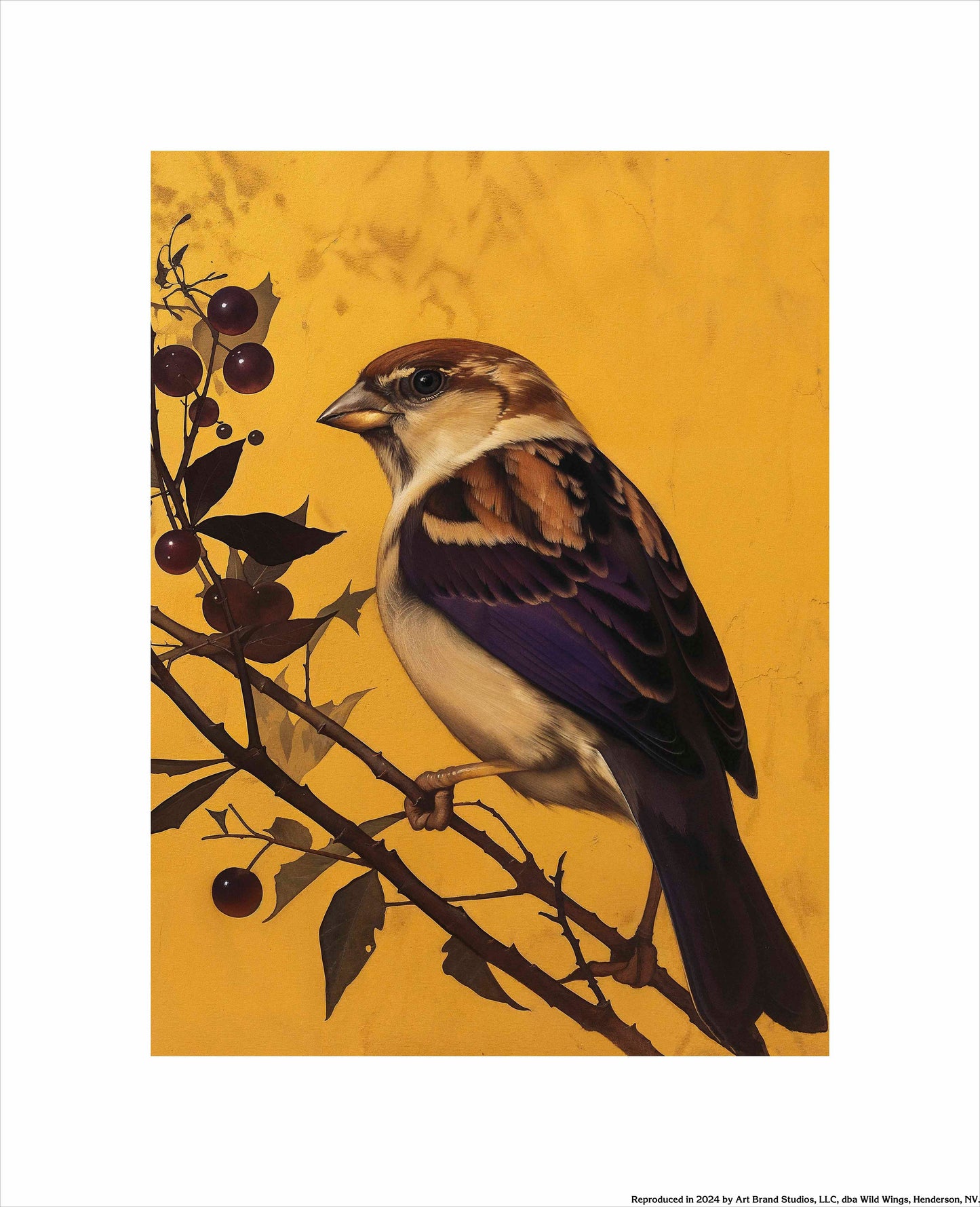 Golden Perch - Sparrow Among Dark Berries - Art Prints