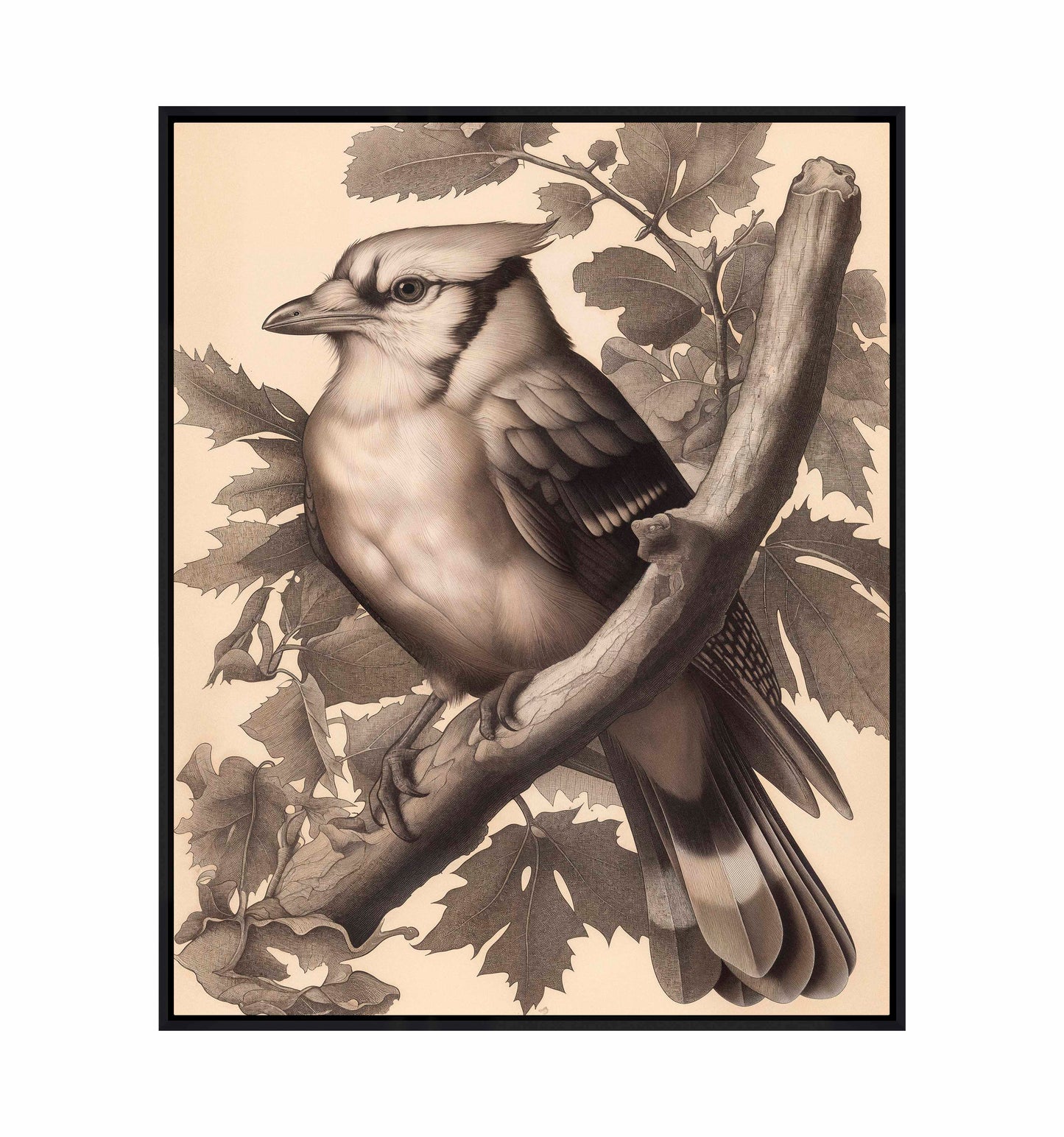 Timeless Grace - Blue Jay in Oak Canopy - Gallery Wrapped Canvas