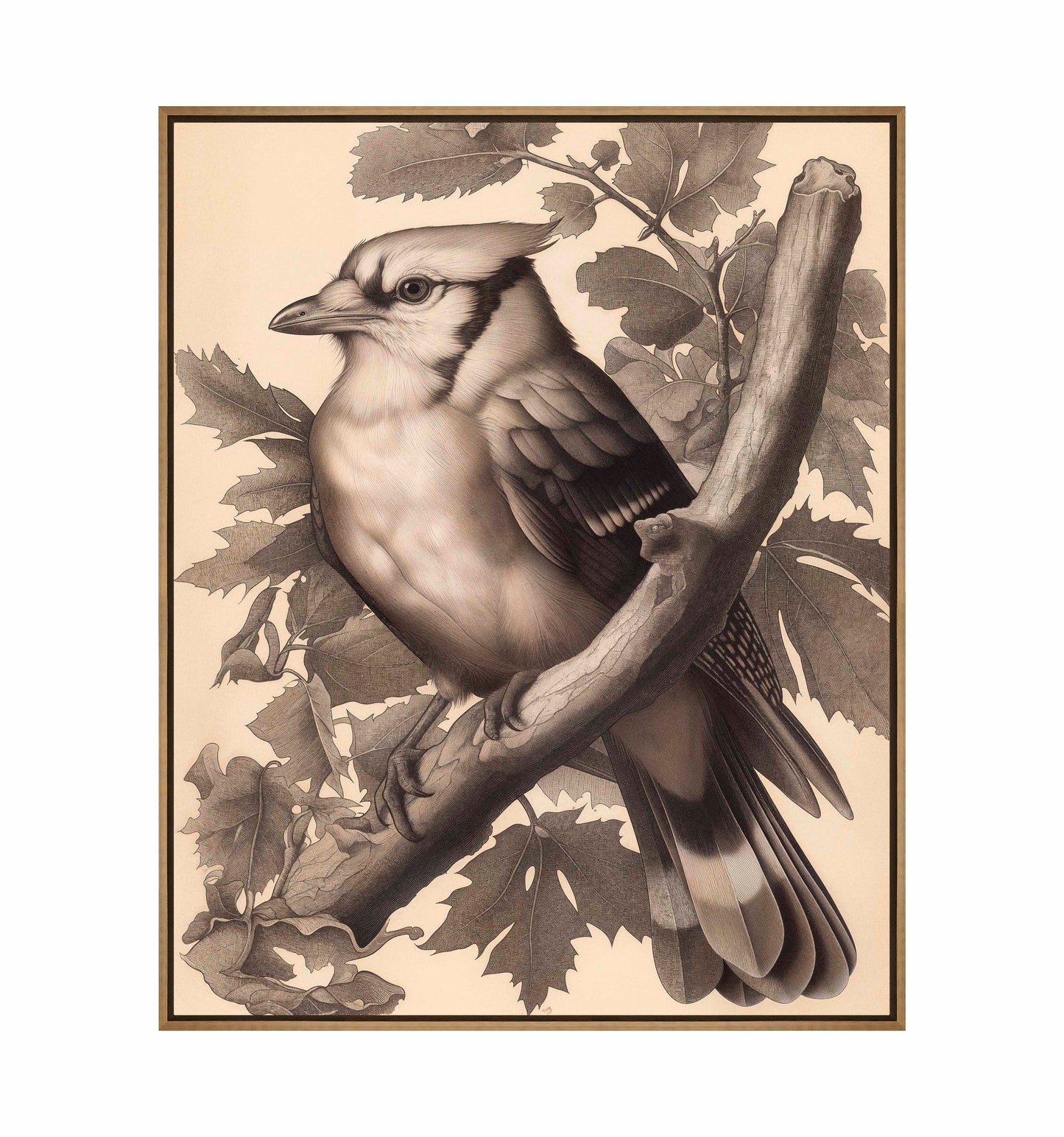 Timeless Grace - Blue Jay in Oak Canopy - Gallery Wrapped Canvas