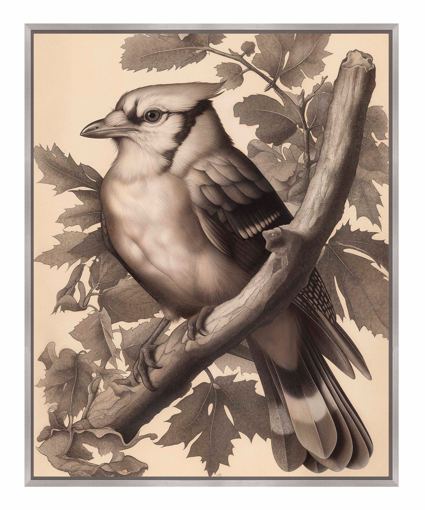 Timeless Grace - Blue Jay in Oak Canopy - Gallery Wrapped Canvas