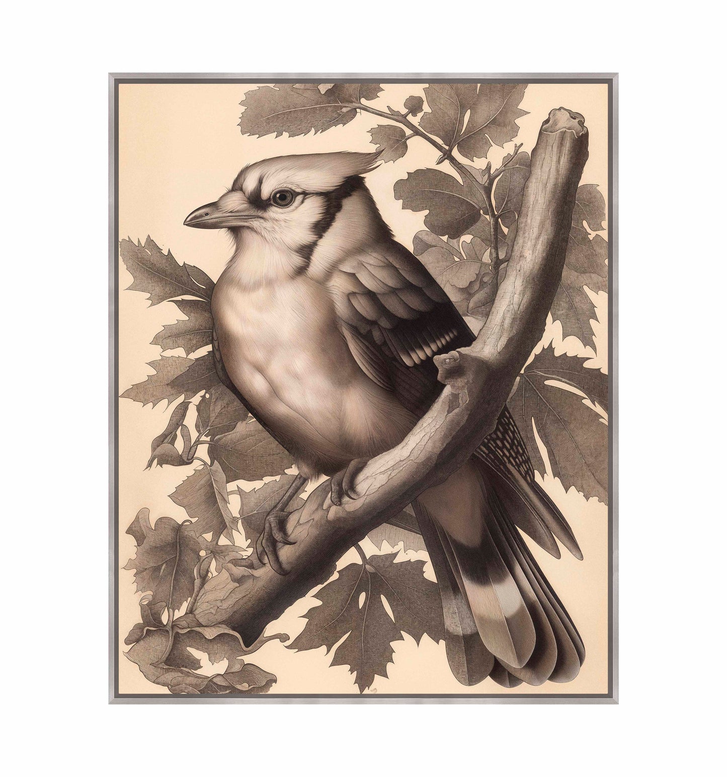 Timeless Grace - Blue Jay in Oak Canopy - Gallery Wrapped Canvas