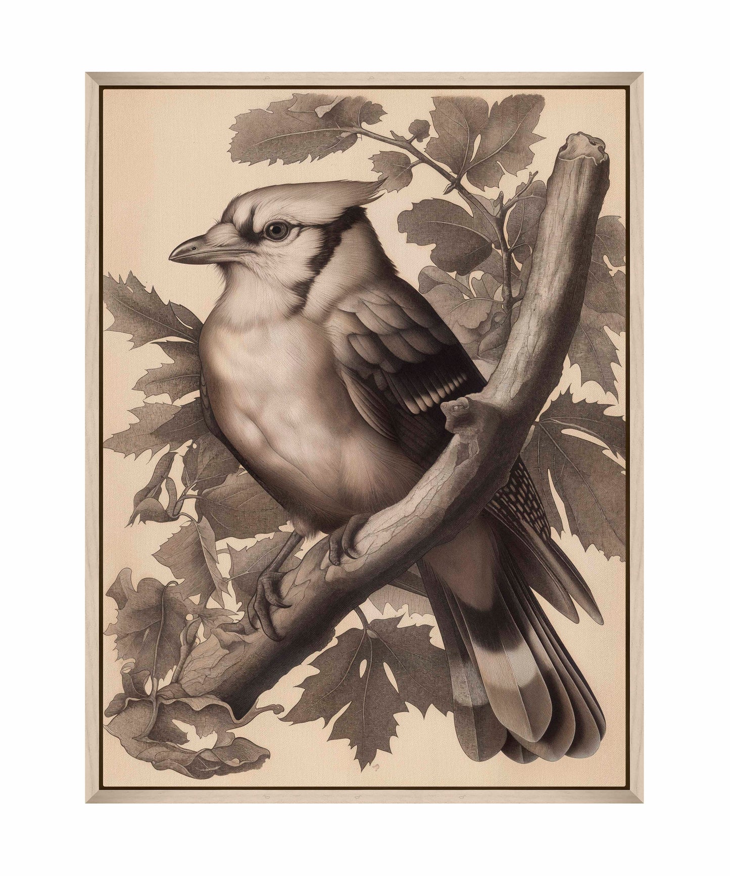 Timeless Grace - Blue Jay in Oak Canopy - Gallery Wrapped Canvas