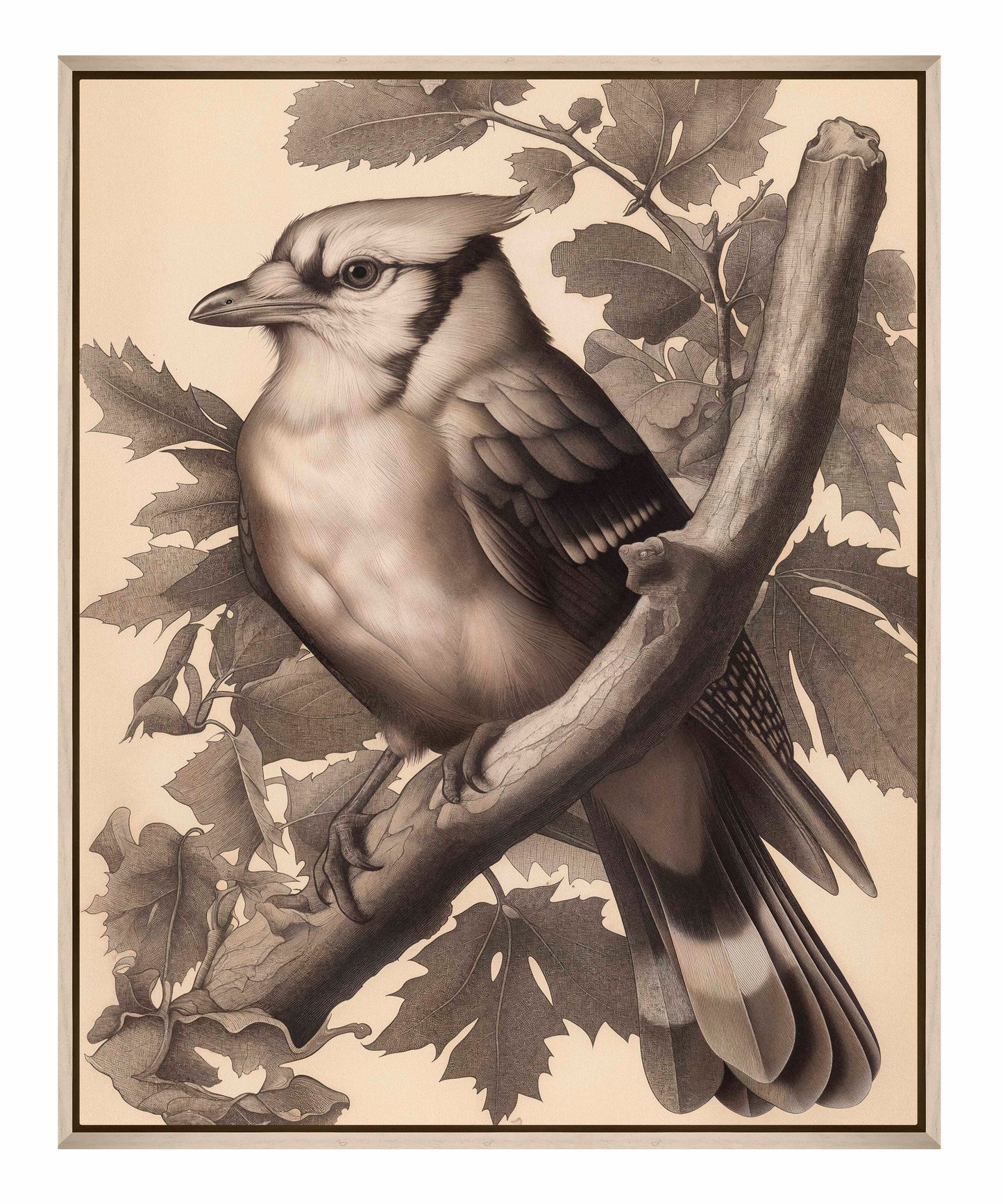 Timeless Grace - Blue Jay in Oak Canopy - Gallery Wrapped Canvas