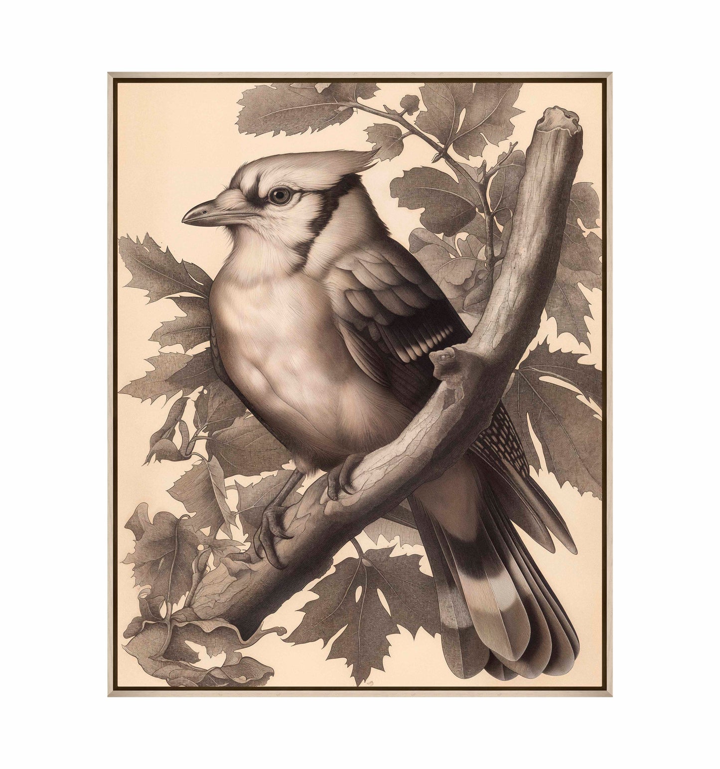 Timeless Grace - Blue Jay in Oak Canopy - Gallery Wrapped Canvas